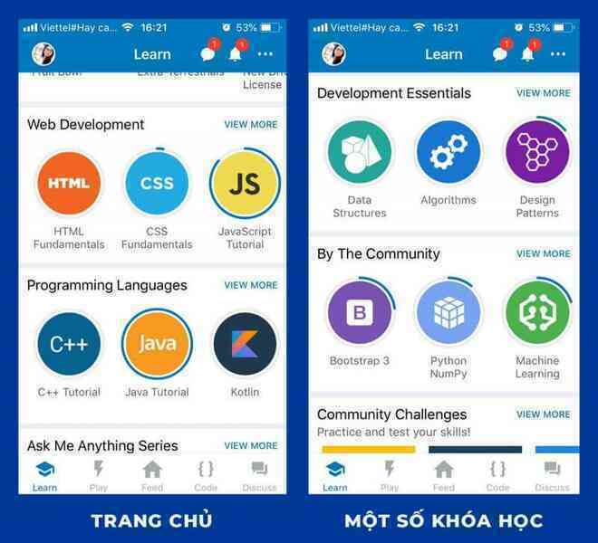 Trang chủ và các khóa học của SoloLearn