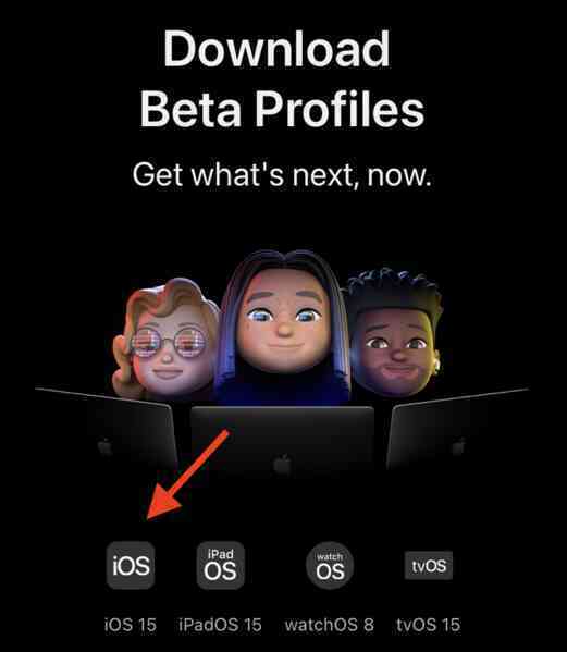 Hướng dẫn nâng cấp lên iOS 15 Beta - Ảnh 2.