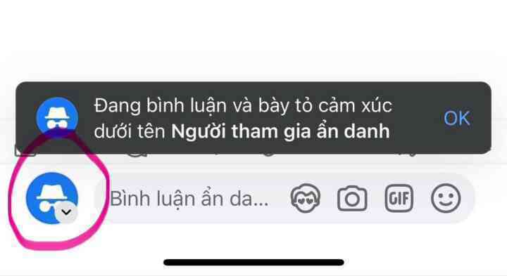 Cách bật tính năng comment ẩn danh trên Facebook- Ảnh 2.