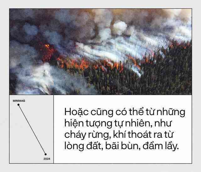 Trái Đất đã “hạ sốt”, sau 13 tháng nóng nhất lịch sử: Một cuộc tập dượt cho kịch bản hậu tận thế- Ảnh 11.