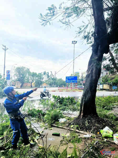 W-Nha mang di dong bao yagi 2.jpeg