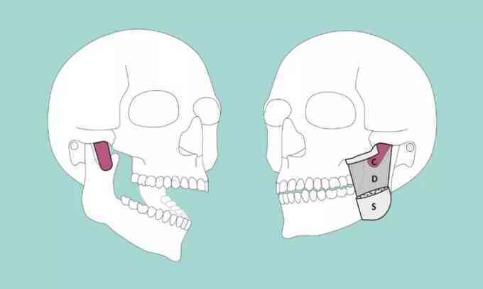 Phát hiện bộ phận mới trong cơ thể người