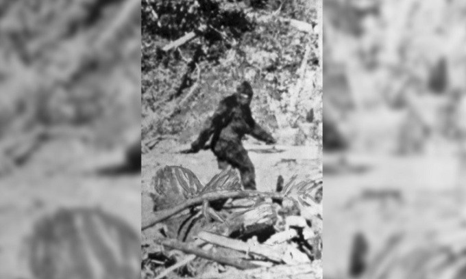 Quái vật Bigfoot có thật không?